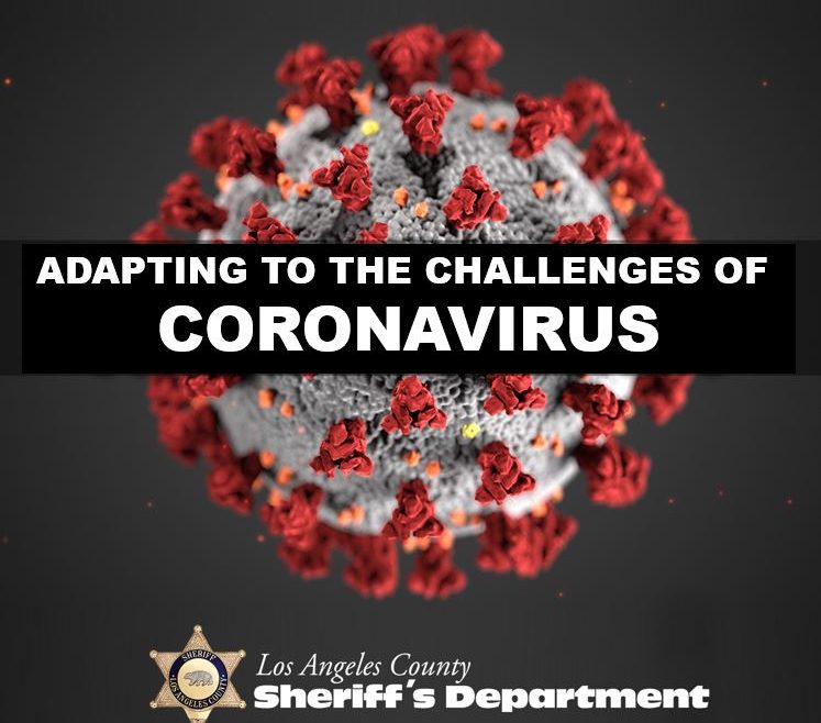 Microscopic image of the coronavirus.