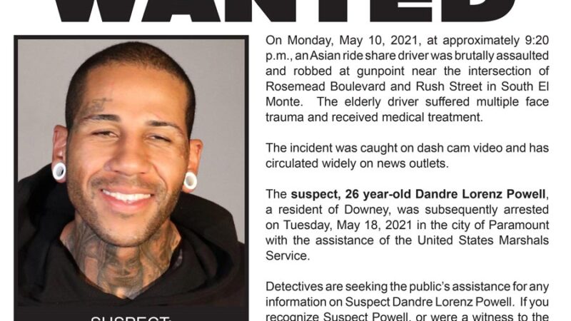 head shot of suspect in this case, Dandre Lorenz Powell: male, very short hair, White hear plug earings, tatoo over right eye, tatoos on neck.suspect is wearing black hooded sweatshirt.