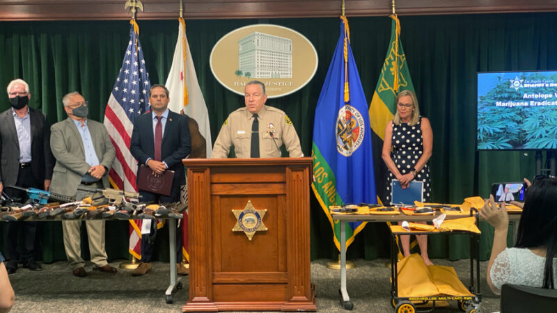 Picture of Sheriff at a wood podium with the Sheriff's star on it. Speaking to the media. Supervisor Bardger is on the sheriff's left, firther to his right are representatives from Antelope Valley and the D E A, Game and Wildlife and other orgaizations, On tables infront of the sheriff are laid out over 30 siezed automatic rifles and various hand guns that were also siezed from the operation.